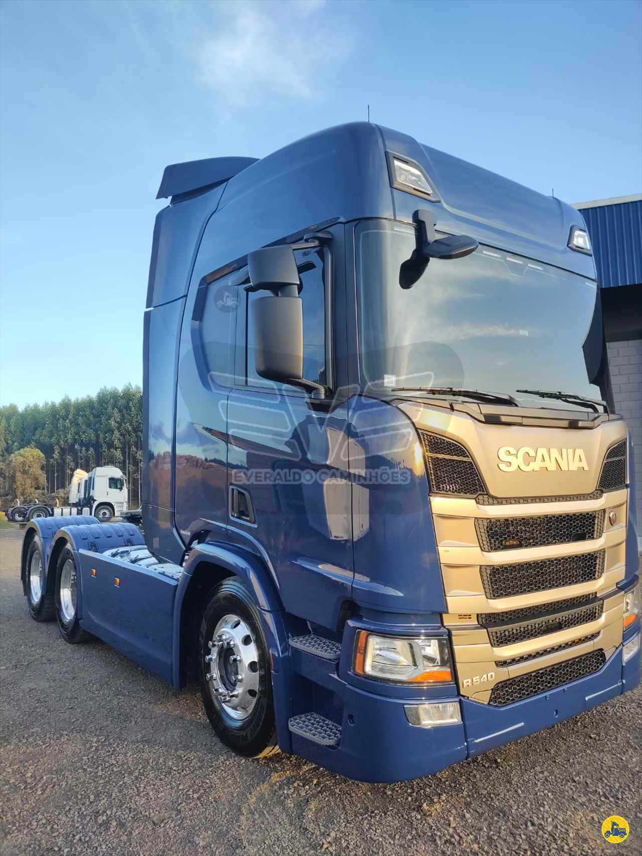 CAMINHAO SCANIA SCANIA 540 Cavalo Mecânico Traçado 6x4 Everaldo Caminhões MOGI GUACU SÃO PAULO SP